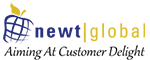 Newt Global Consulting LLC